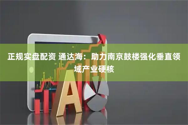正规实盘配资 通达海：助力南京鼓楼强化垂直领域产业硬核