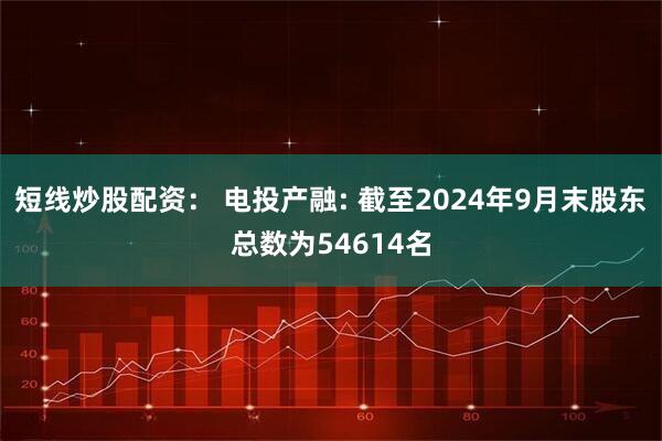 短线炒股配资: 电投产融: 截至2024年9月末股东总数为54614名