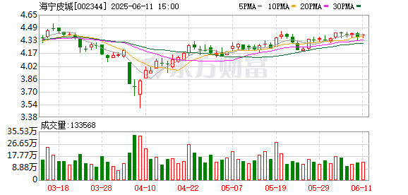 正规合法股票配资平台 海宁皮城：2024年年度股东大会决议公告